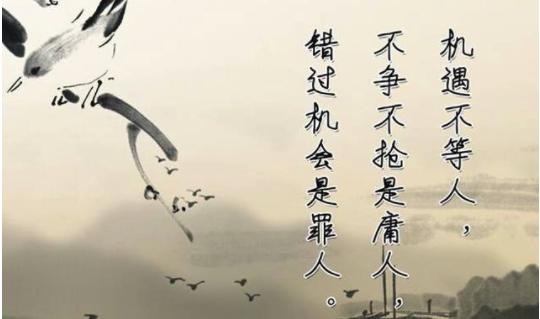 月入过万的淘宝客都在用淘宝客app
