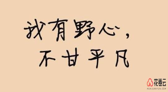 成熟的淘客系统