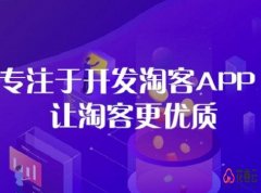 如何选择淘客系统开发公司