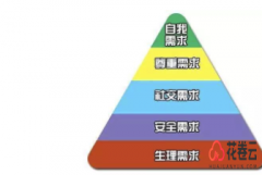 淘客app系统，制作淘客app