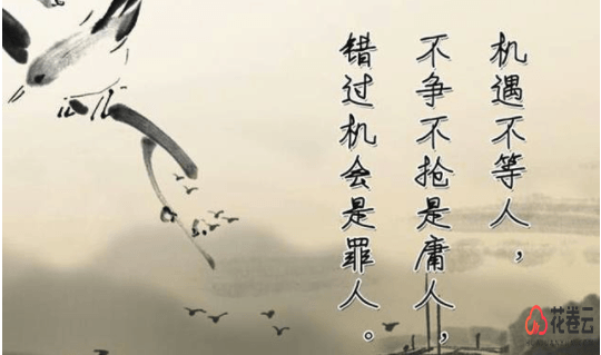 淘客软件哪个好,淘客软件定制开发