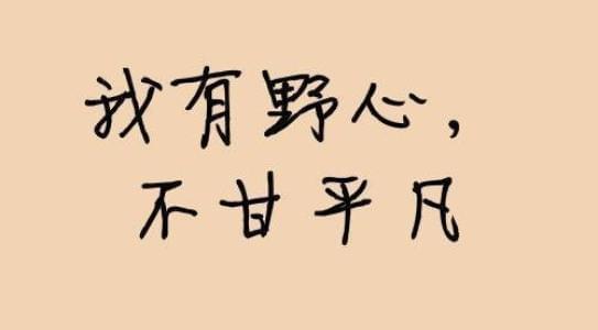 专业淘宝客app制作平台，淘宝客app制作