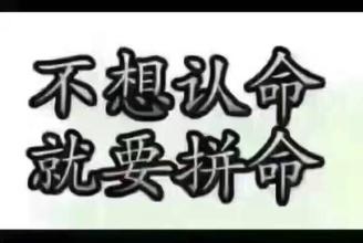 淘客软件哪家好？选择花卷云